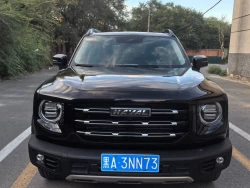 Haval DARGO, 2021 года 8