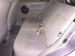 Toyota PASSO, 2010 года 2